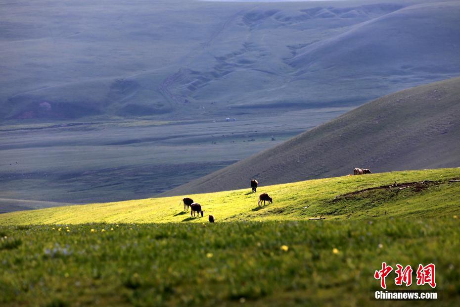 光と影のコントラストが美しすぎる雨上がりの草原　新疆ウイグル自治区