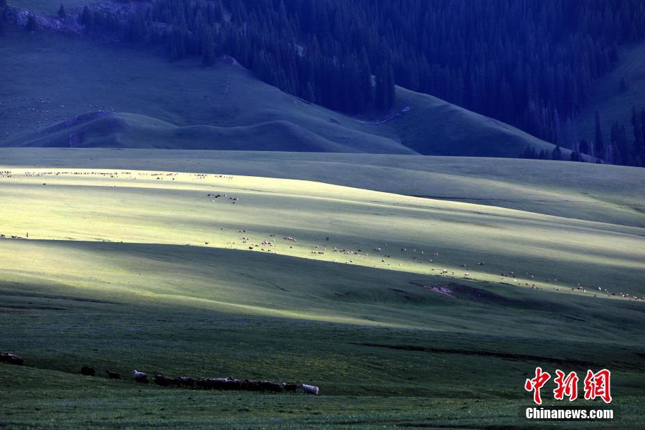 光と影のコントラストが美しすぎる雨上がりの草原　新疆ウイグル自治区