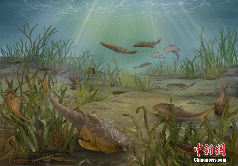 約4億2300万年前の新種の魚類化石を発見　重慶