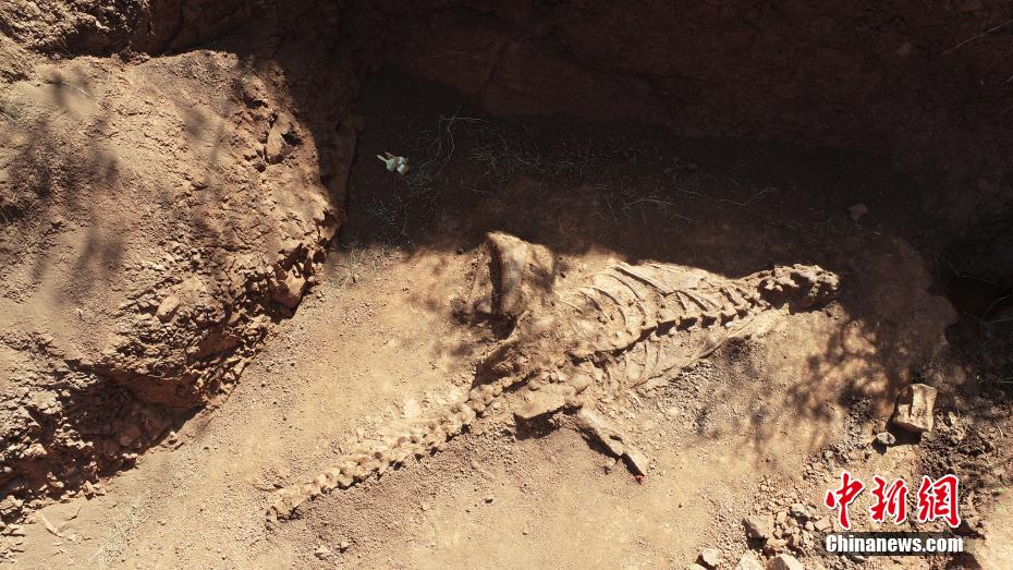 恐竜の化石発掘現場の様子（写真提供・禄豊市恐竜化石保護研究センター）。