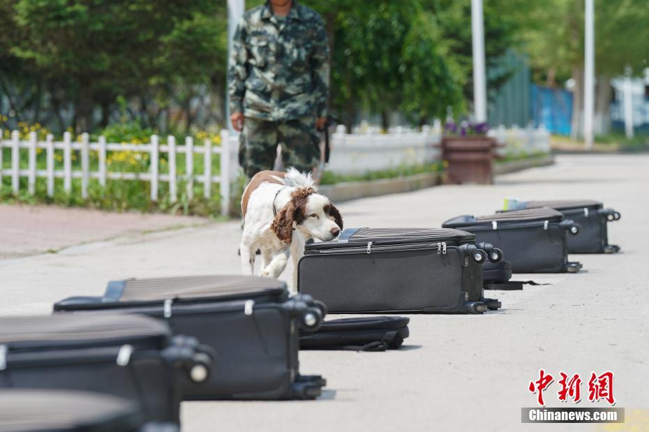 ハルビンの警察犬訓練基地を訪ねて　黒竜江省