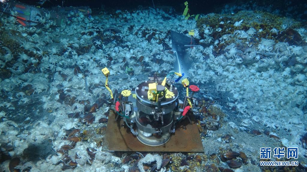 実験室を海底に運ぶ科学調査船「科学」号
