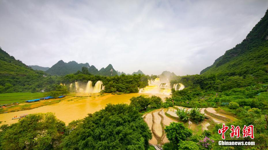 大迫力！アジア最大の国境を跨ぐ「徳天瀑布」が雨で「黄金の滝」に