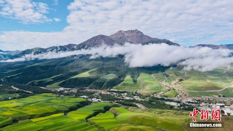 上空から撮影した美しい祁連山の夏の風景（ドローンによる撮影・李江寧）。