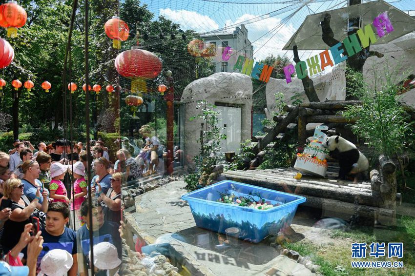 モスクワ動物園のパンダ「如意」が誕生日迎える