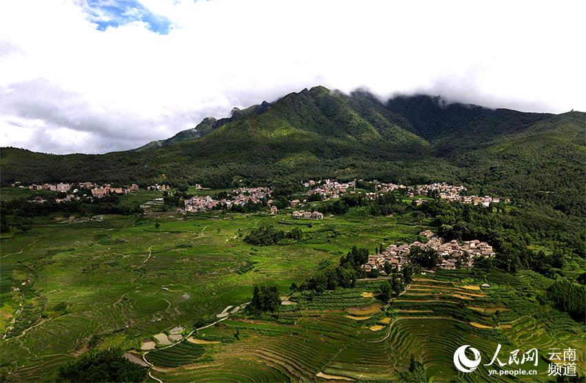 雲南省の紅河ハニ棚田は自然を巧みに利用した巨大な循環システム
