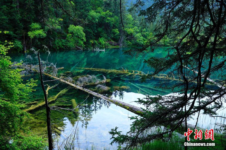 四川省九寨溝県の「もう一つの明珠」と称えられている嫩恩桑措景勝地