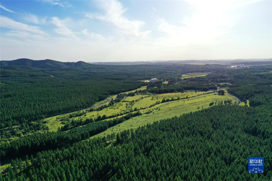 塞罕壩造林事業、1本の苗から世界最大の人工林へ