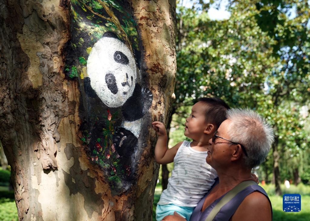 8月31日、上海閘北公園の木の樹洞に描かれたパンダのイラストを見る男の子（撮影・劉穎）。