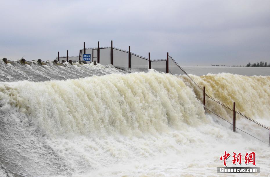 連日の豪雨の影響を受け、壮観な光景を目にすることができる運河水利の重要地である戴村壩（撮影・趙暁）。