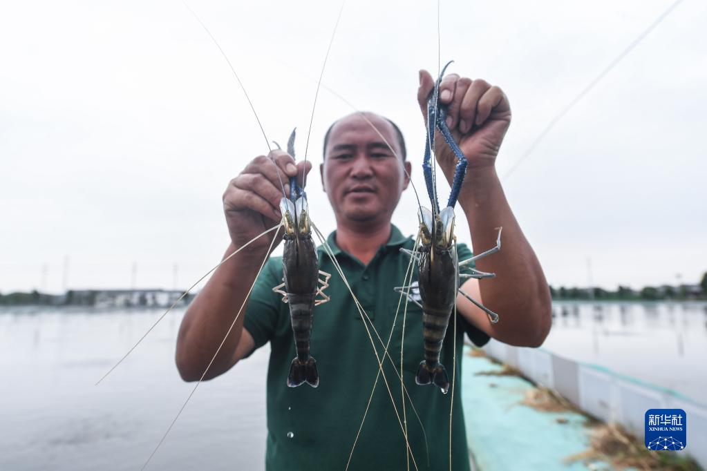 特色ある生態水産養殖を推進　浙江省湖州