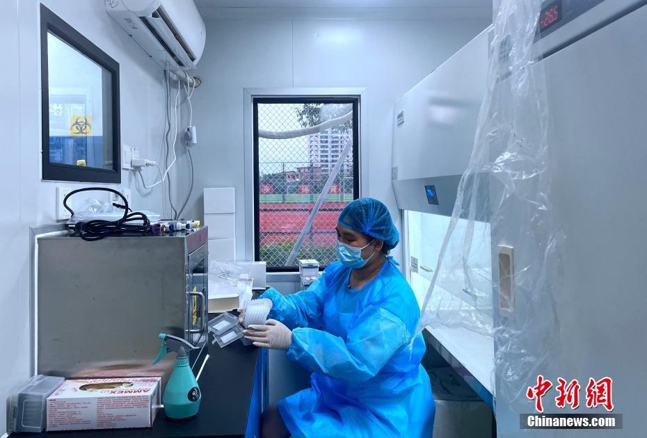 9月14日、移動PCR臨時実験室内で作業する職員（撮影・張斌）。