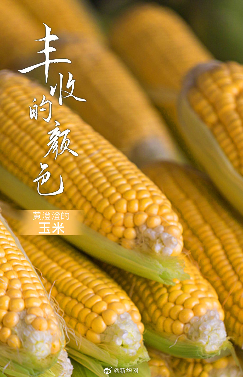 「中国農民豊作節」 多彩な色で味わう収穫の秋