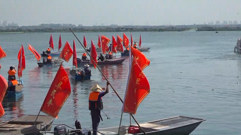 蘇州・陽澄湖で上海ガニの水揚げ始まる　国慶節連休前後に大量出荷へ