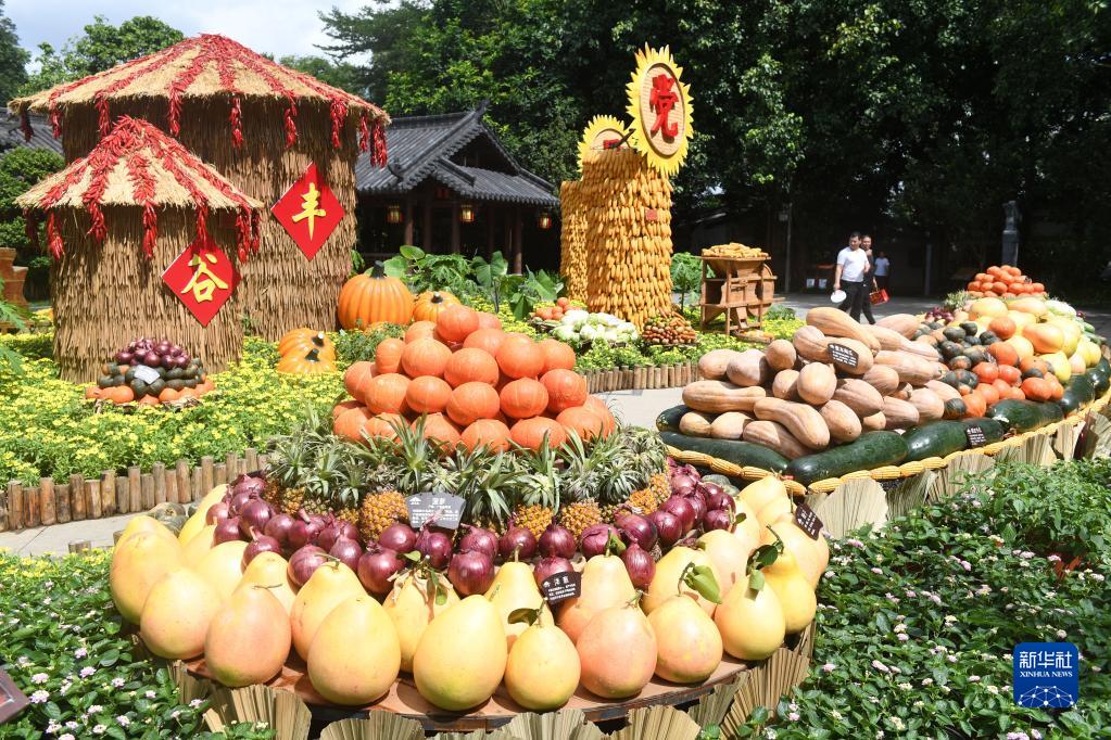 9月23日、広西チワン族自治区南寧市青秀山に展示された農作物 （撮影・陸波岸）。