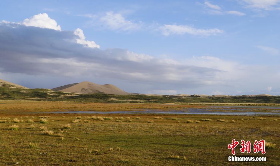 砂漠の緑化が進む青海湖沙島　生態系が著しく回復