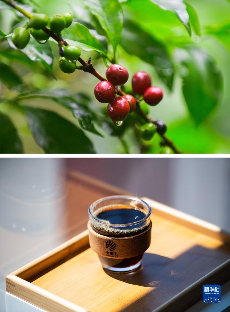 エチオピアのコーヒーを中国湖南省長沙で販売　「コーヒードリーム」が実現