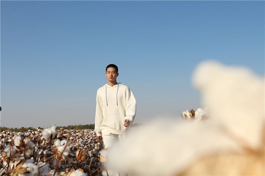 綿花畑でファッションショー　新疆