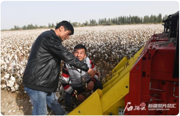 綿花収穫機の操縦方法を木熱地里·吾斯曼さんに手取り足取り教える塞米•玉素甫さん（写真左、撮影・周鵬）。