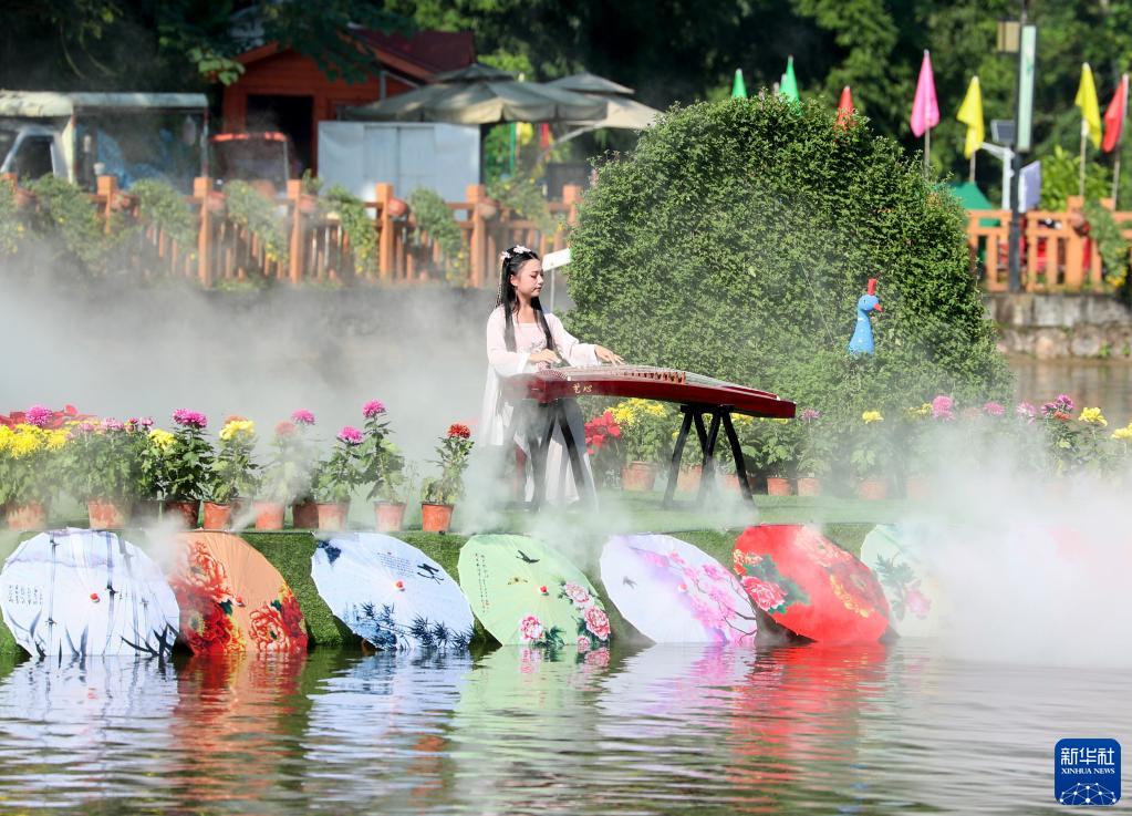 10月23日、四川省華鎣市華竜街道（エリア）で開かれた菊花展で箏を演奏する演奏者（撮影・邱海鷹）。