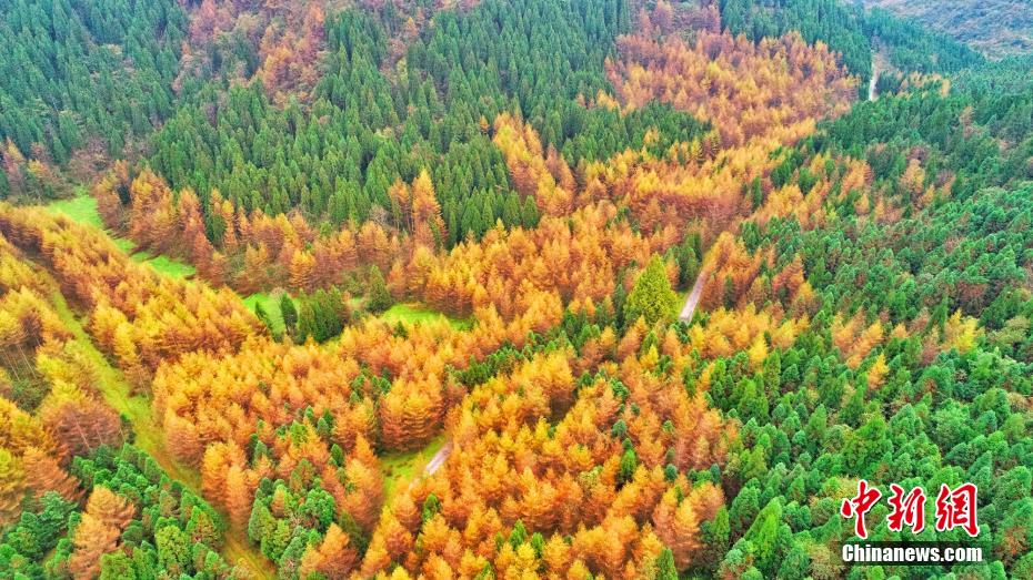 秋深まり美しい紅葉広がる湖北省の恩施大峡谷