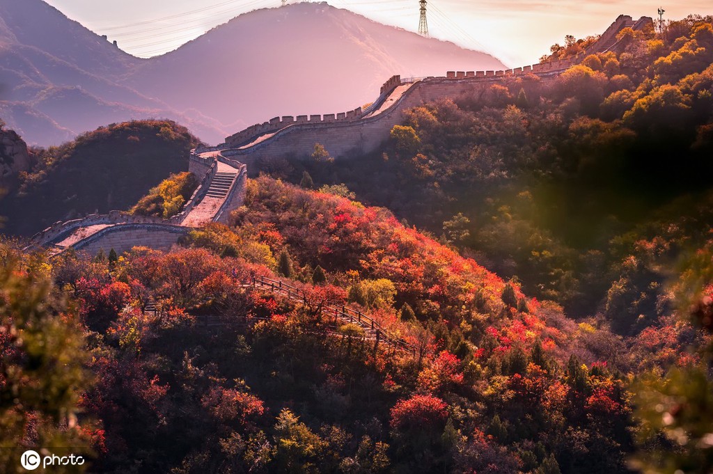 美しい八達嶺長城の紅葉（10月26日撮影、写真著作権は東方ICが所有のため転載禁止）。
