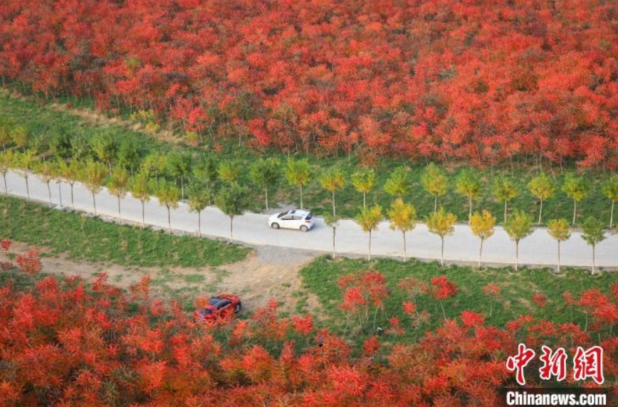 旧鉱山が晩秋の撮影スポットに　河北省三河