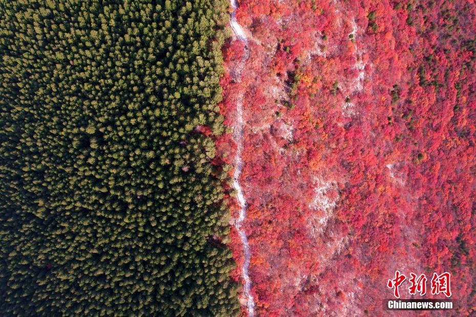 尾根を境に南が赤、北が緑の景色広がる蝎子山　山東省済南