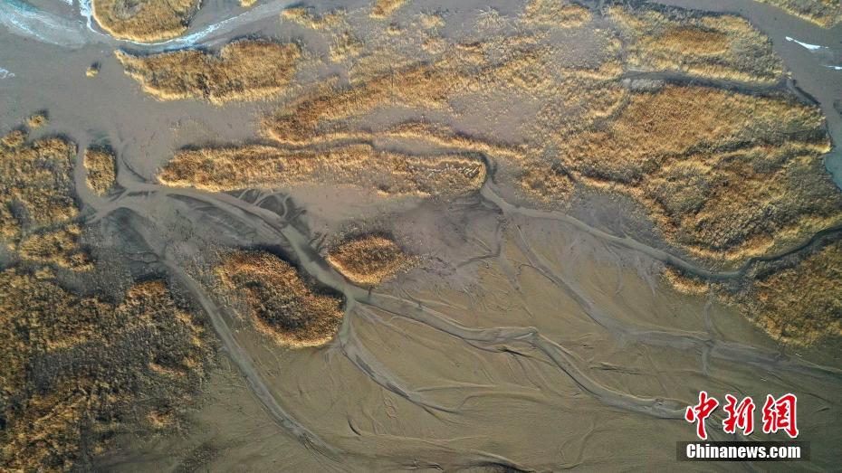 初冬の康拉克湖湿地　新疆