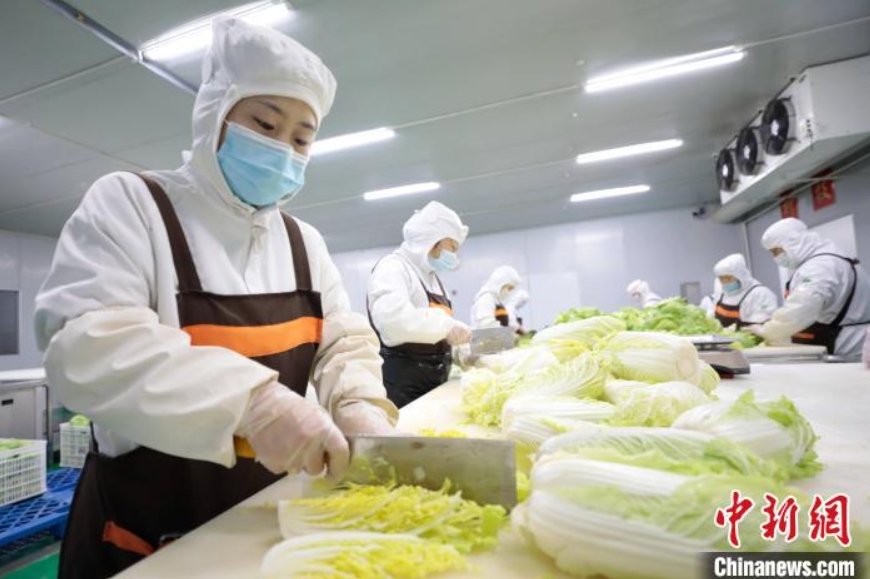 洗浄加工済み野菜を24時間以内に北京の食卓へ　河北省固安