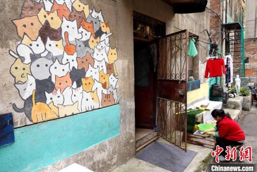 ネコ好きにはたまらない？西安の「ニャンコ通り」　陝西省