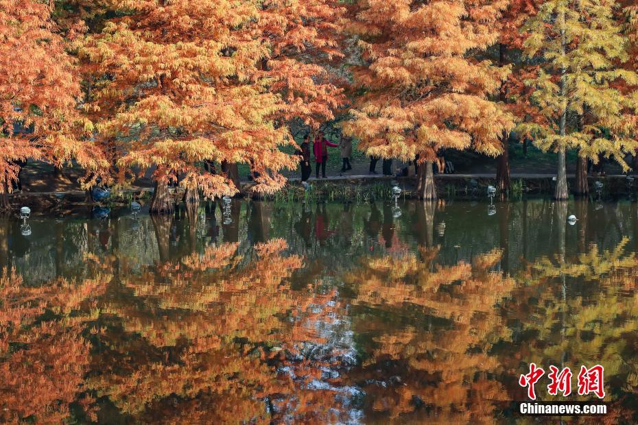 南京の燕雀湖に広がる美しい風景　江蘇省