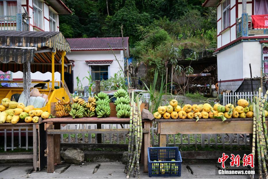 かつては「高原の孤島」と呼ばれていたチベット自治区メトク県
