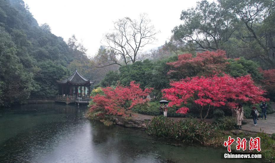 紅葉に魅了され写真撮影を楽しむ観光客　浙江省杭州