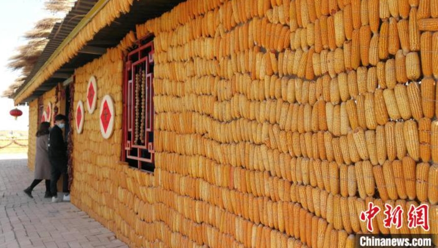 トウモロコシ50トンで飾り付けられた「黄金色の家」　新疆