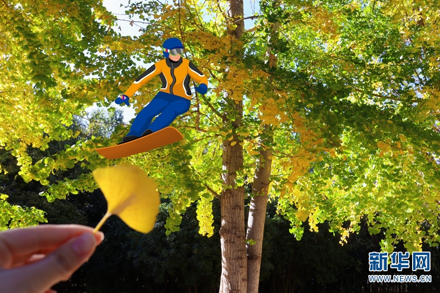 イチョウの木をバックに見事な滑りを披露するスノーボーダー（写真提供・雲南師範大学）。