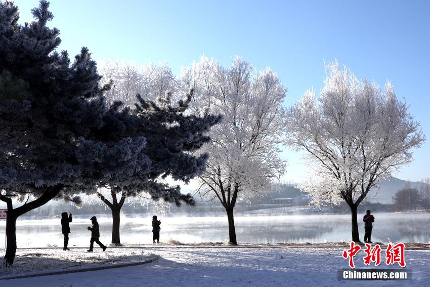 11月25日、中国で「霧氷の街」と呼ばれる吉林省吉林市で観測された霧氷（撮影・蒼雁）。