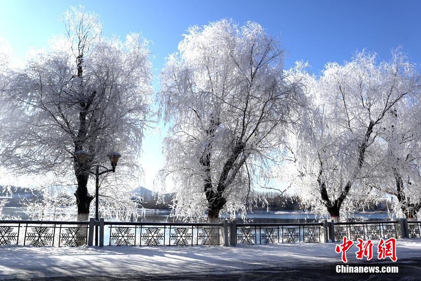 中国で「霧氷の街」と呼ばれる吉林市で霧氷を観測　吉林省