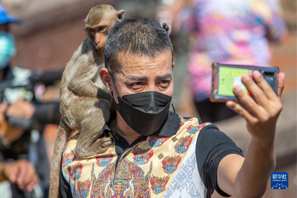 サルたちにごちそう振る舞う「モンキー・ビュッフェ」　タイ・ロッブリー県