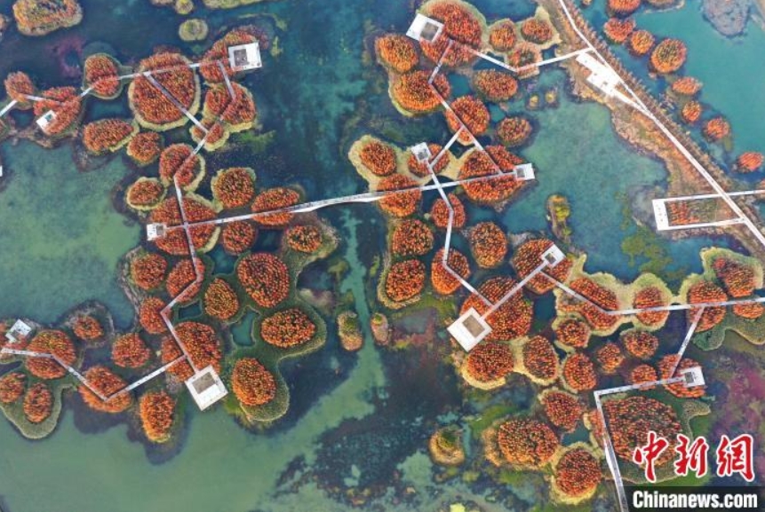 上空から撮影した南昌魚尾洲湿地公園　江西省