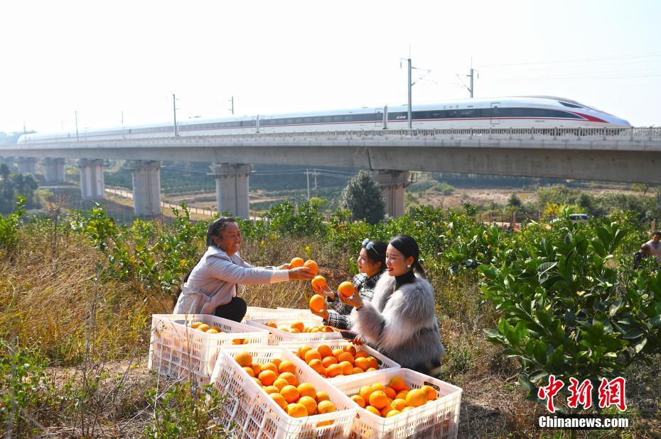 江西省贛州と広東省深センを1時間49分で結ぶ贛深高速鉄道が開通