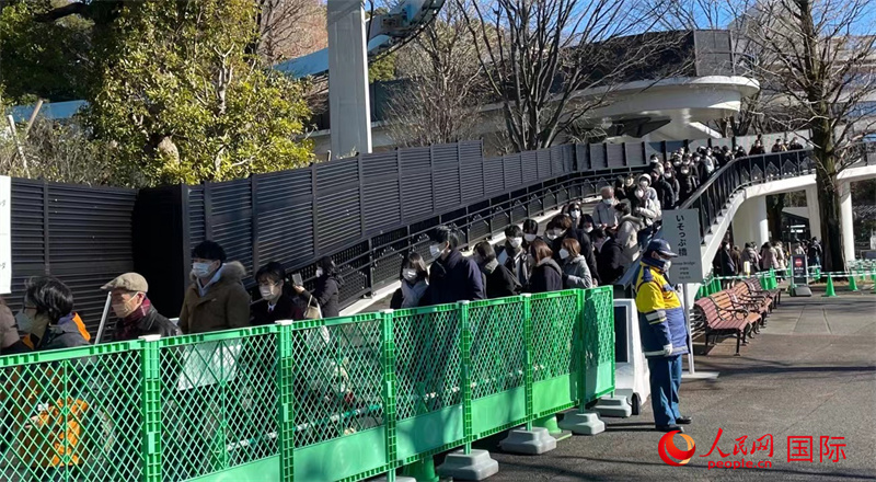 上野動物園の双子パンダが初の一般公開　日本