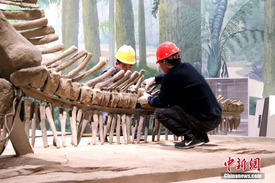 山東省済南で「巨大山東竜」展プレイベント　世界最大の大型カモノハシ竜