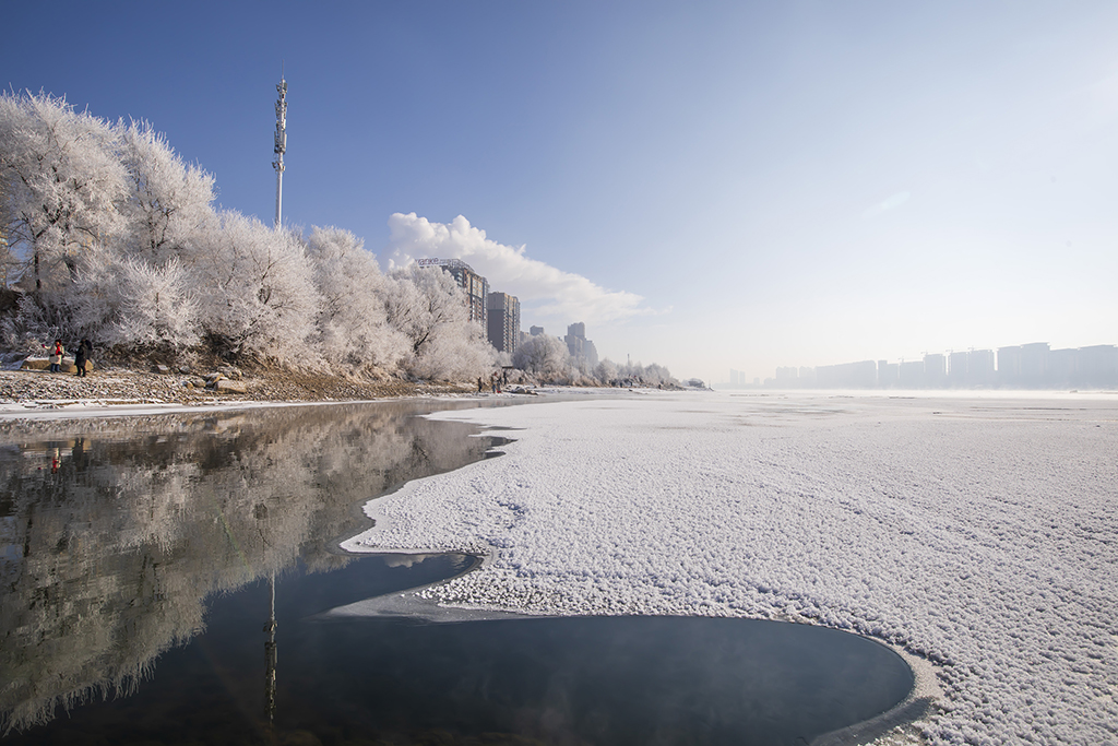松花江畔の美しい霧氷（撮影・朱万昌/写真著作権はCFP視覚中国が所有のため転載禁止）。