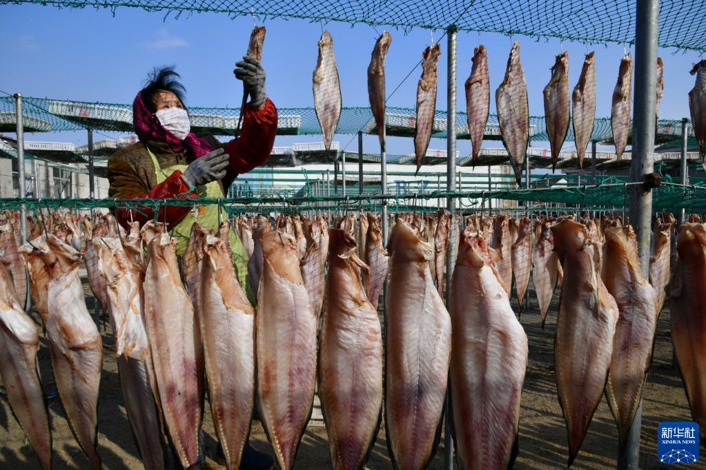 1月19日、山東省栄成市石島管理区王連街道北橋頭村で、魚を干して干物を作る村民（撮影・徐速絵）。