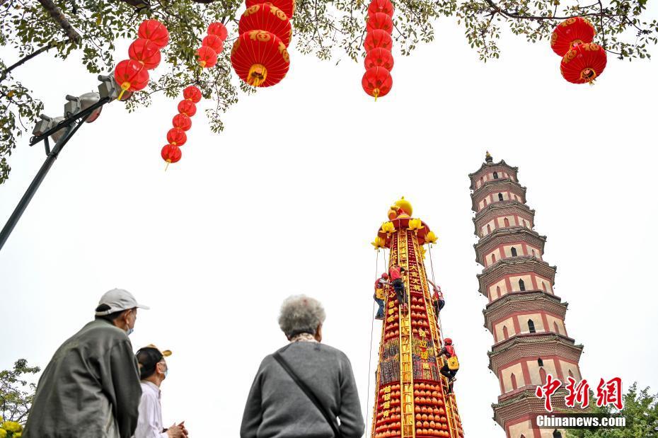 1月26日、広東省広州市で、「金の山」に登って果物をとる市民（撮影・陳驥旻）。