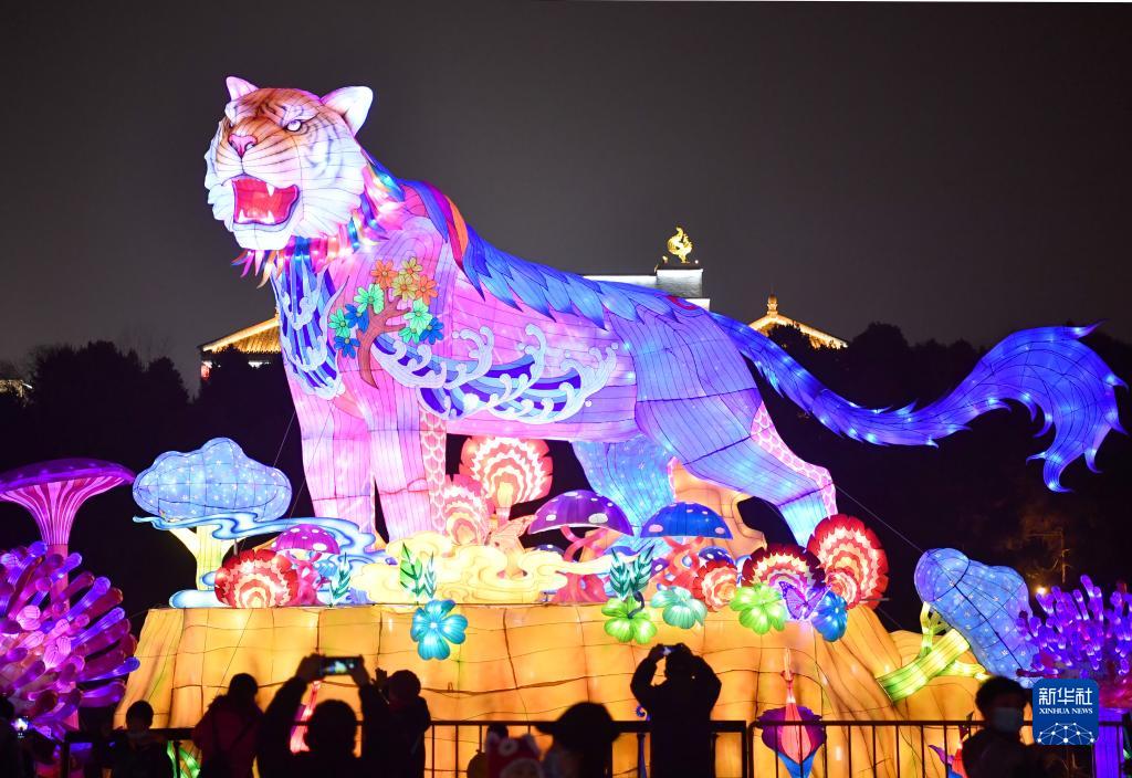大唐芙蓉園で寅年をテーマとしたランタンを観賞する観光客（2月10日撮影・邵瑞）。