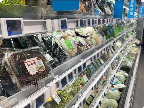上海の春野菜「香椿」が市場へ　売値は500グラム約2200円