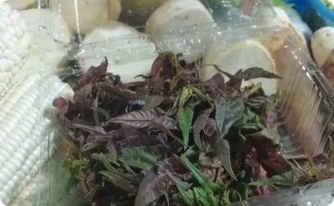 上海の春野菜「香椿」が市場へ　売値は500グラム約2200円