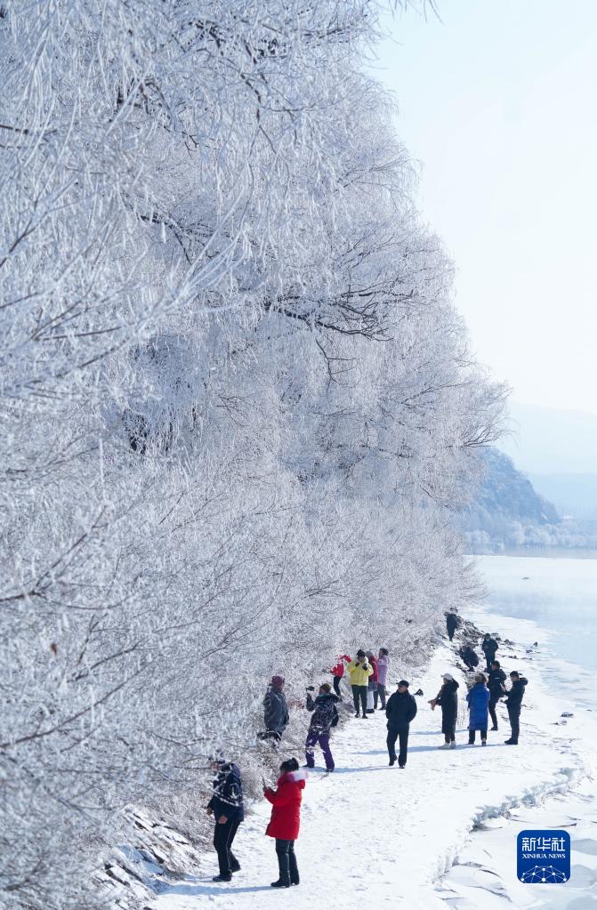 吉林省吉林市松花江河畔で、美しい霧氷の風景を鑑賞する市民（2月22日撮影・顔麒麟）。